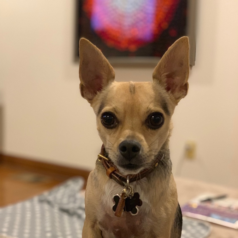 Meet your Posher, Aissan